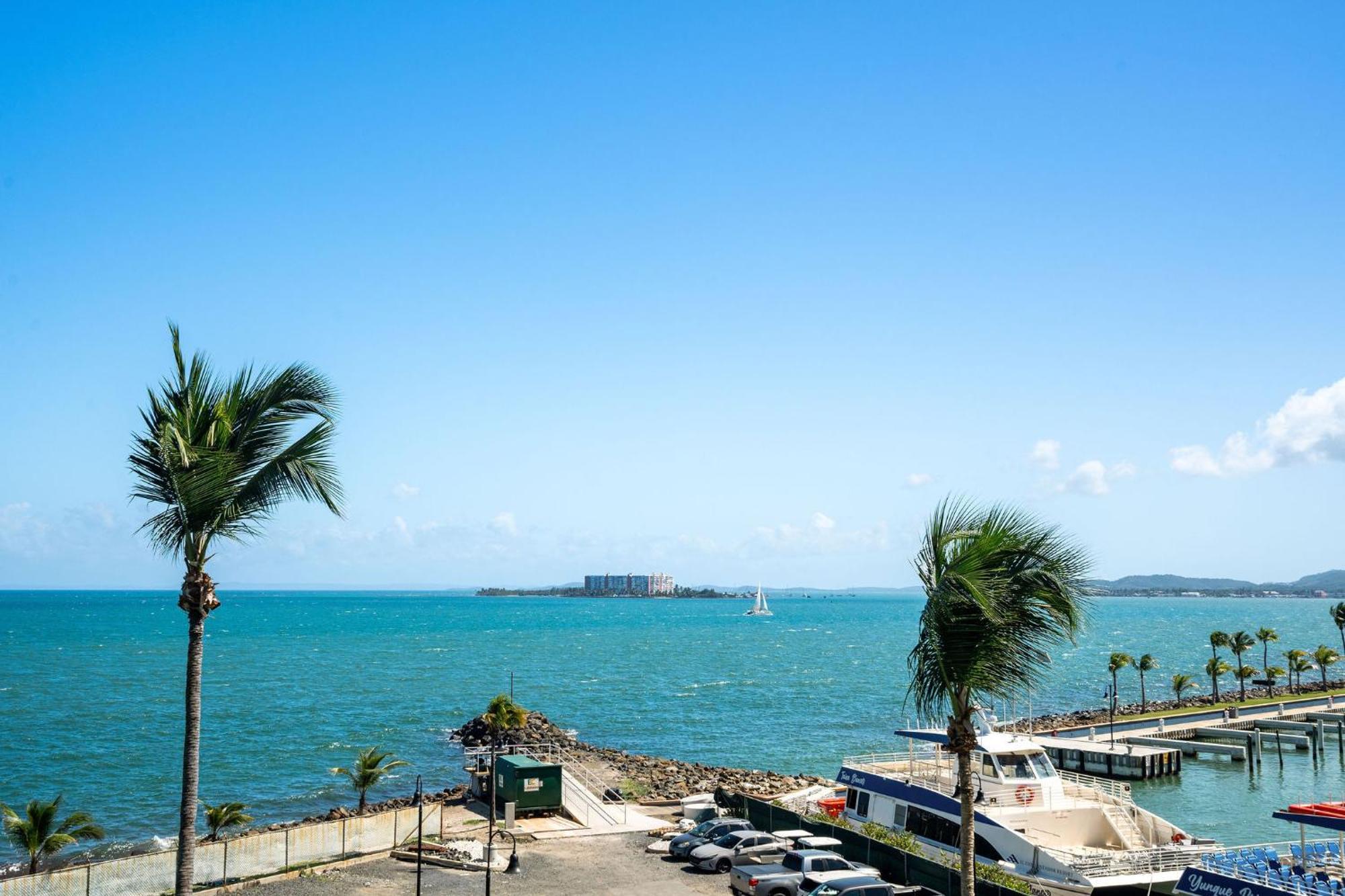 Your Ocean Zen Oasis Apartment ฟาจาร์โด ภายนอก รูปภาพ